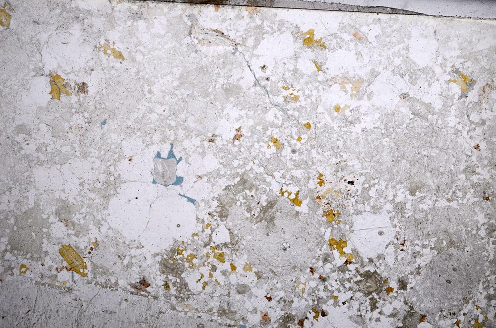 Plane Polarized, E58748