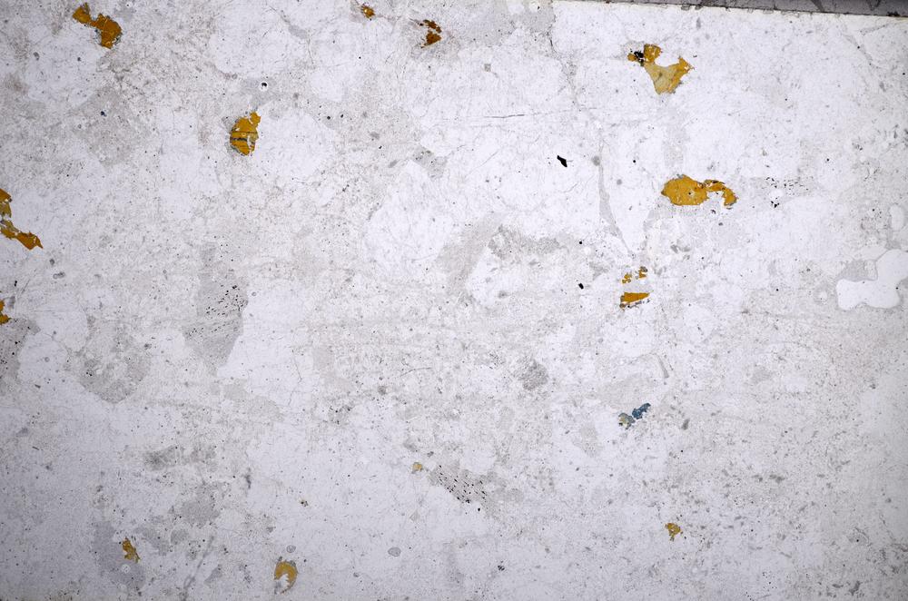 Plane Polarized, E58757