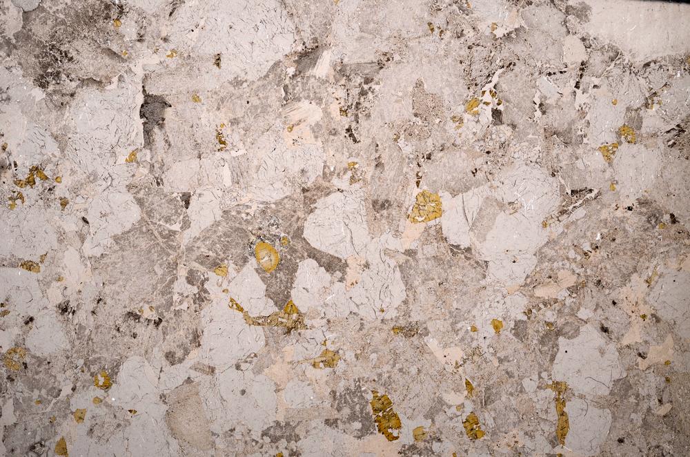 Plane Polarized, E58758/A