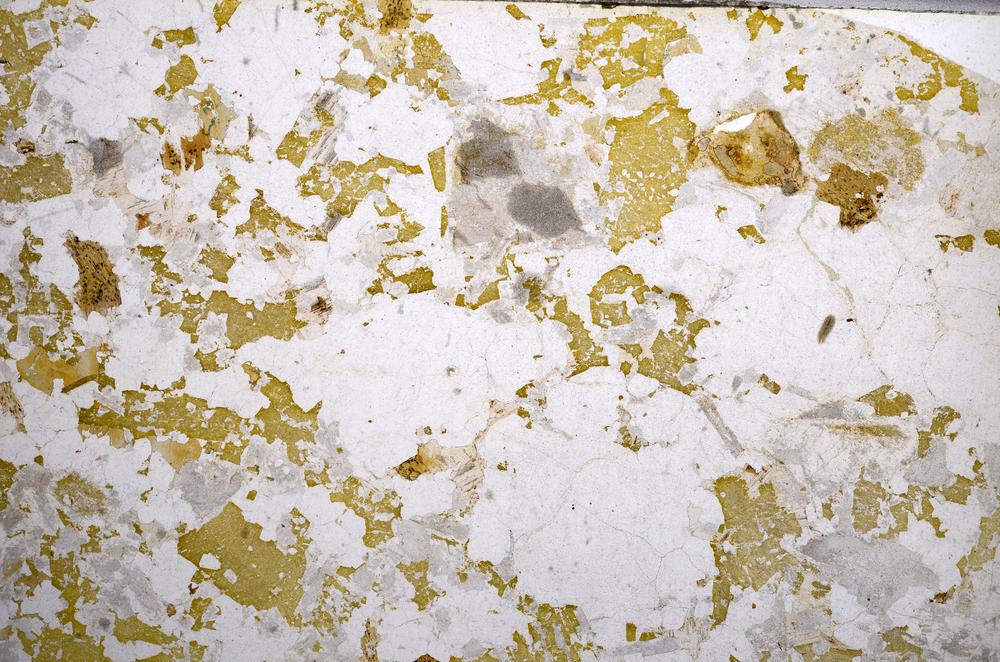 Plane Polarized, E58758/B