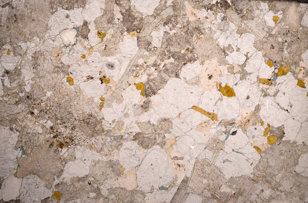 Plane Polarized, E58759