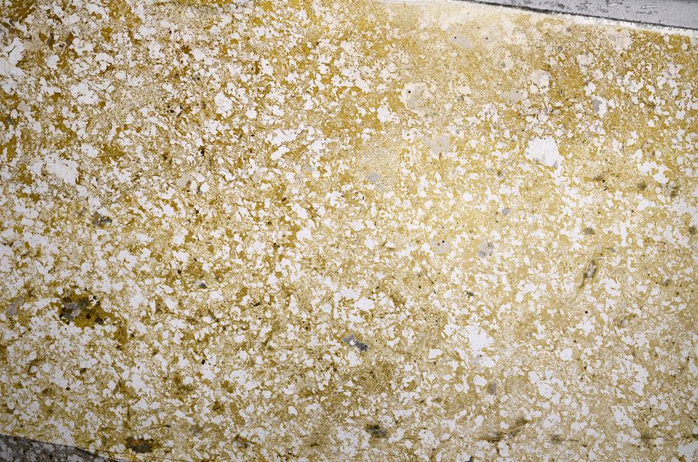 Plane Polarized, E58767/B