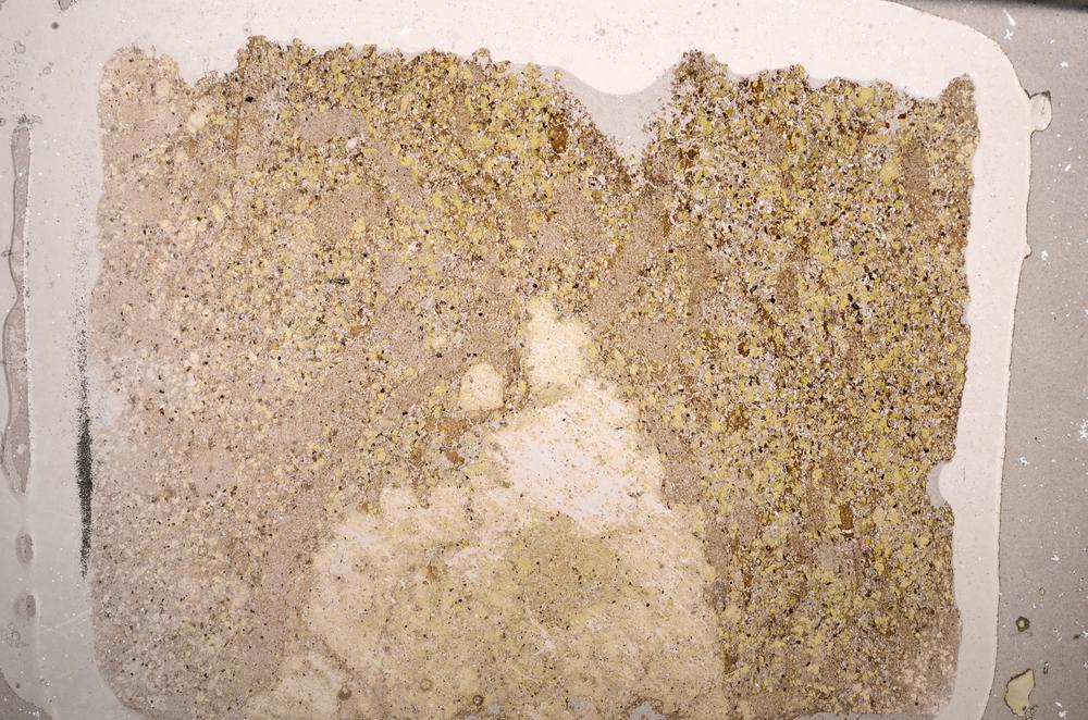 Plane Polarized, E58841