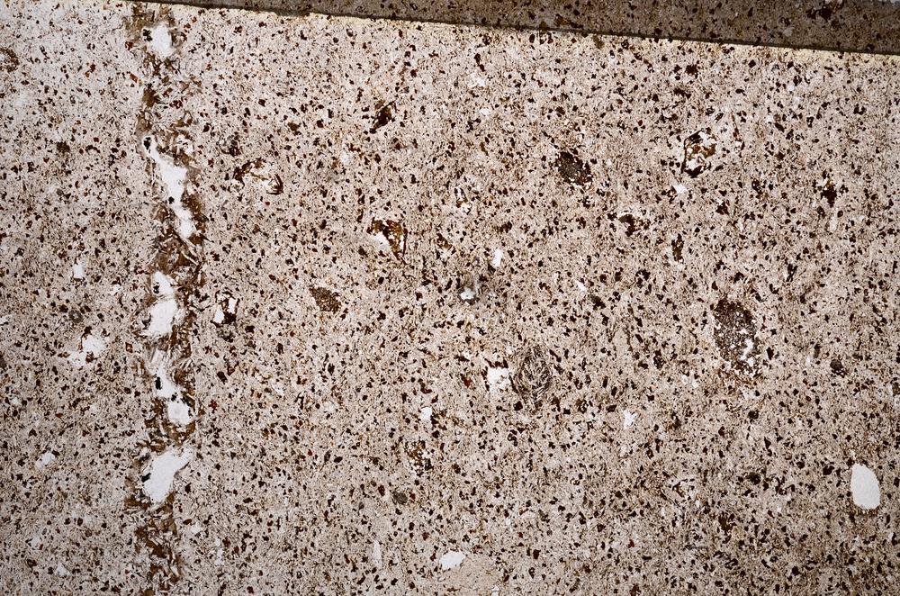 Plane Polarized, E58850