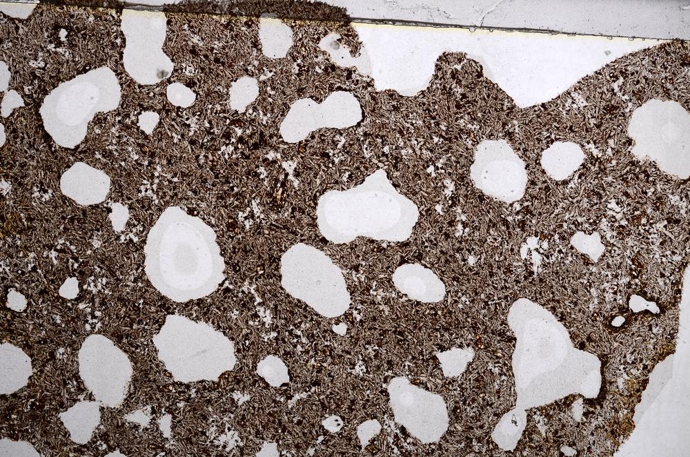 Plane Polarized, E58854