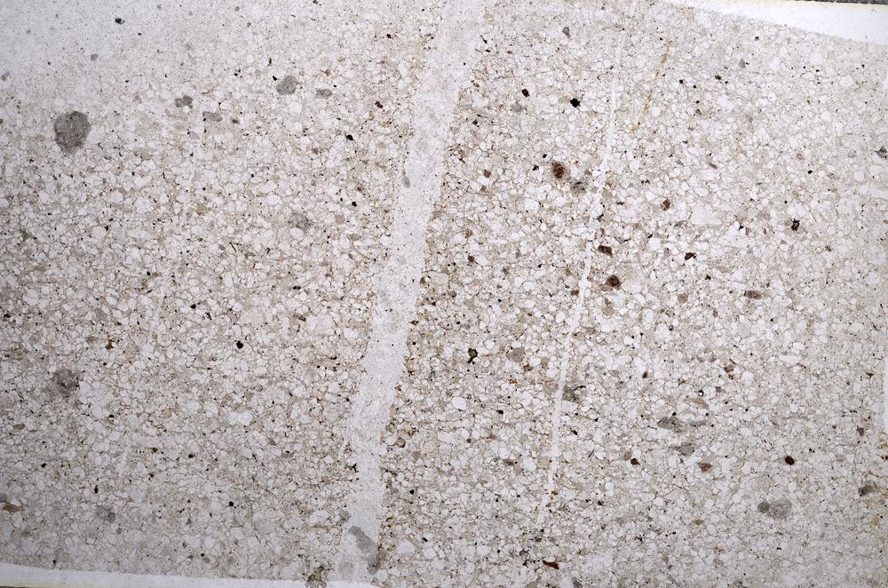 Plane Polarized, E58855