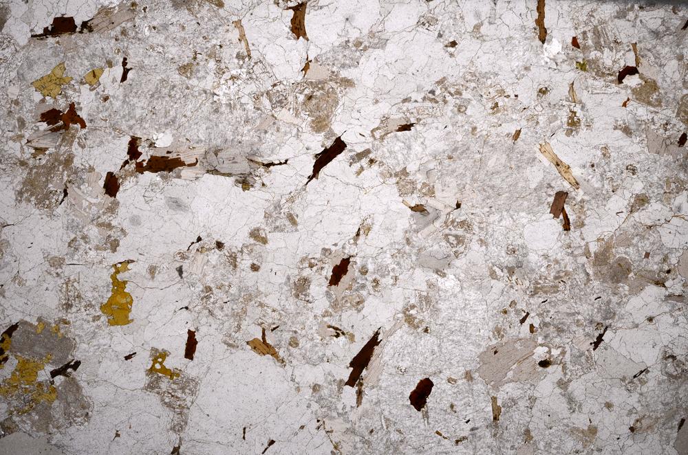 Plane Polarized, E58907/A