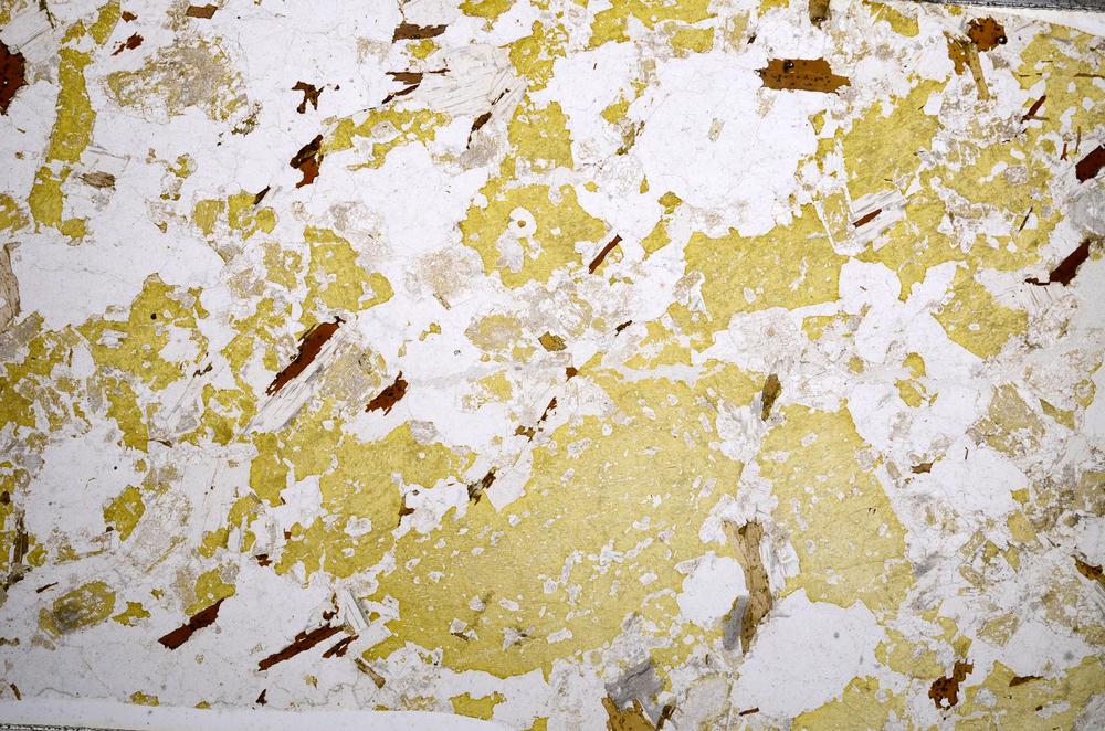 Plane Polarized, E58907/B