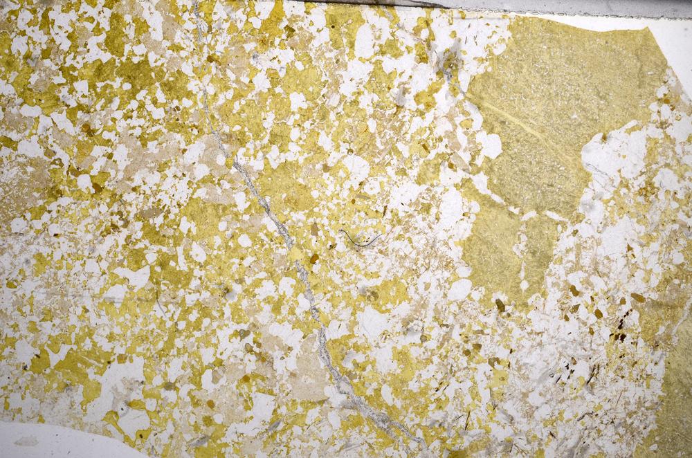 Plane Polarized, E58913