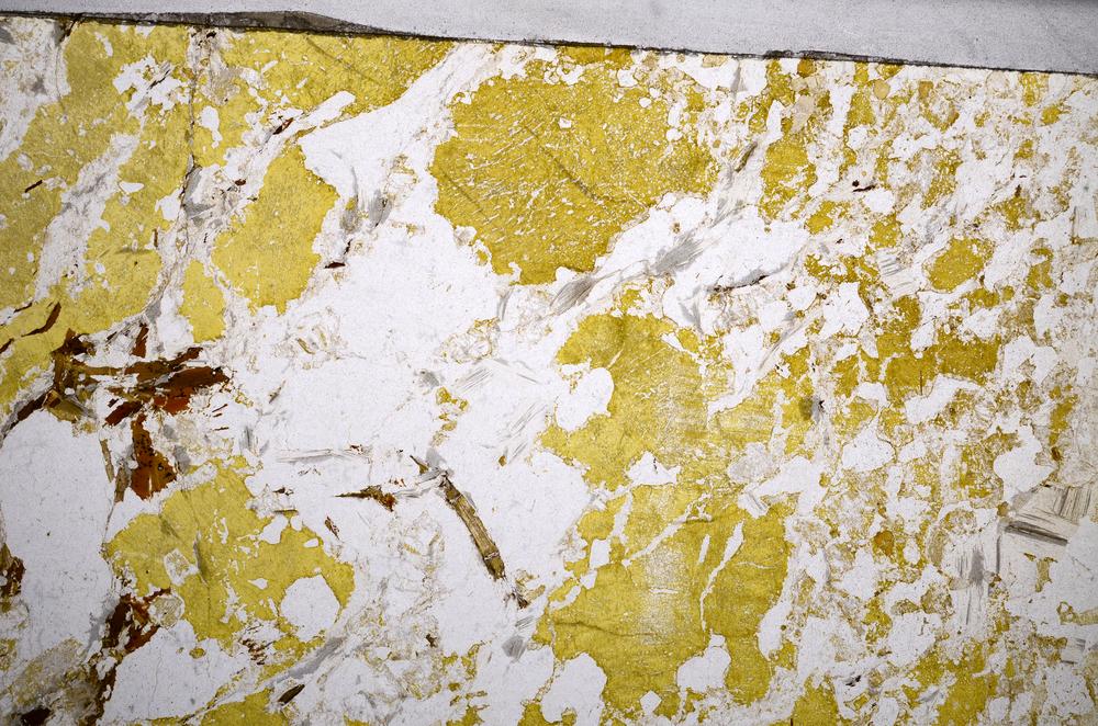 Plane Polarized, E58933/A