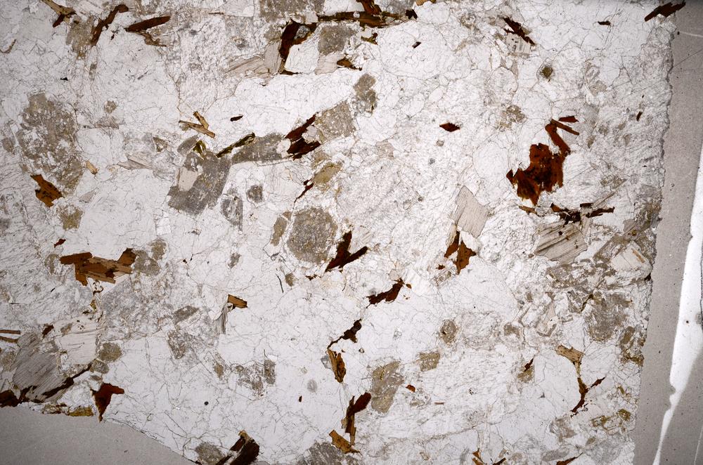 Plane Polarized, E58945/A