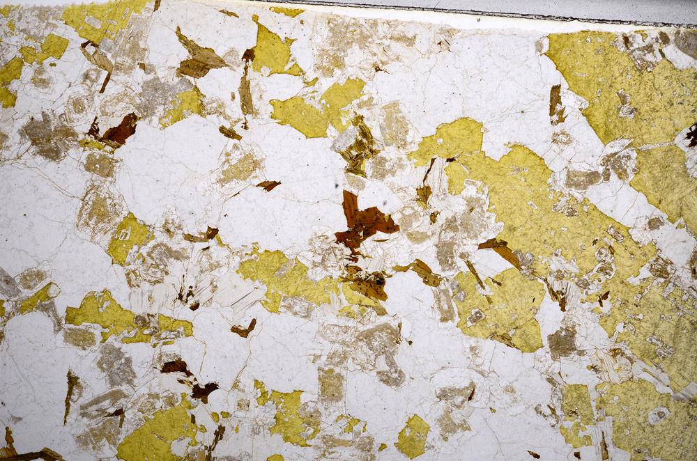 Plane Polarized, E58945/B