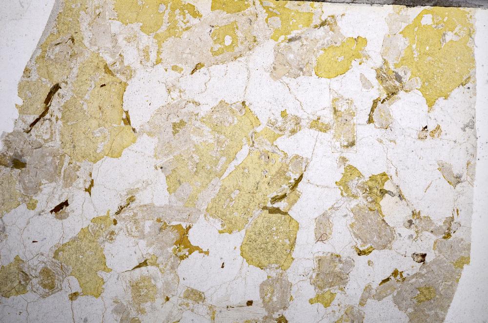 Plane Polarized, E58954