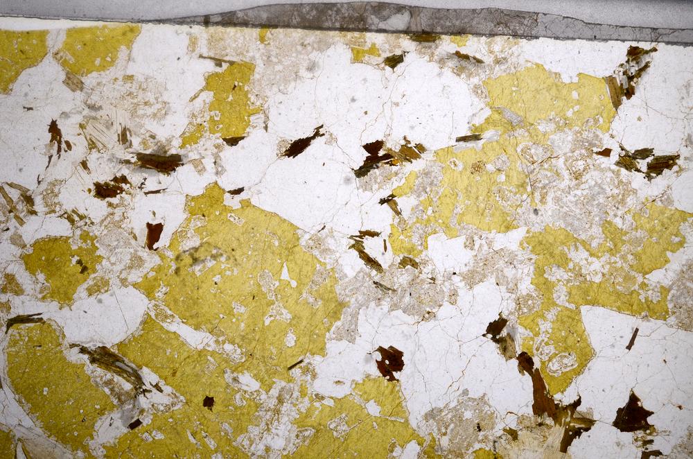 Plane Polarized, E58956