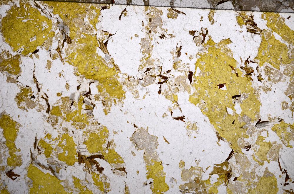 Plane Polarized, E58962
