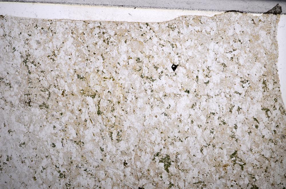 Plane Polarized, E58969