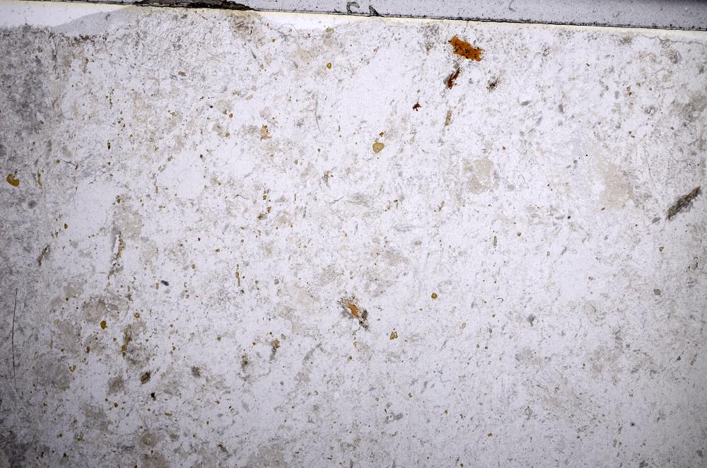 Plane Polarized, E58971/A