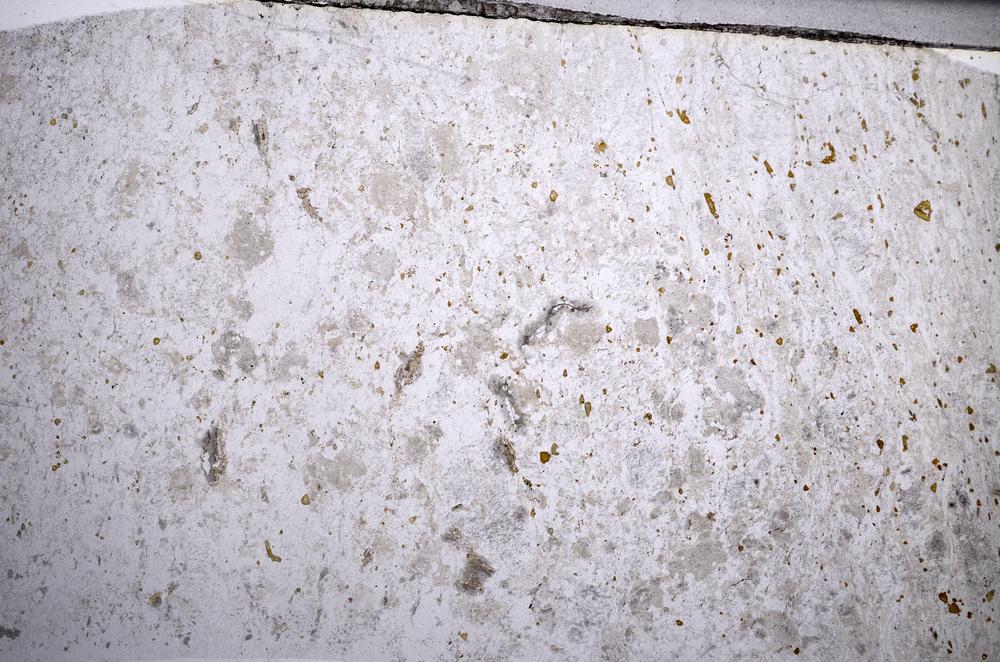 Plane Polarized, E58971/B