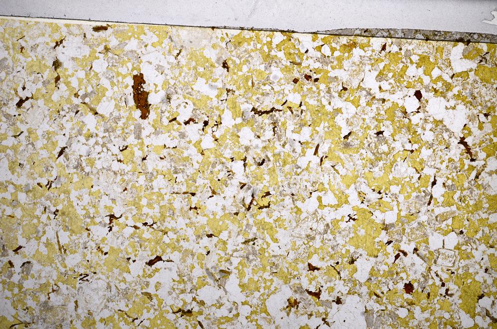 Plane Polarized, E58977