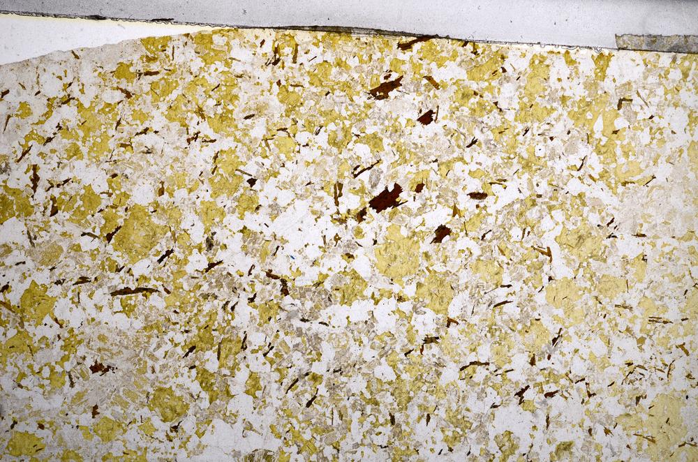 Plane Polarized, E58982