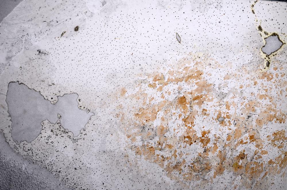 Plane Polarized, E58984