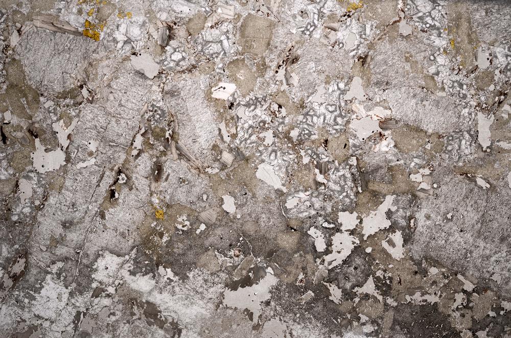 Plane Polarized, E58986