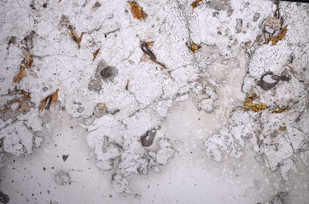 Plane Polarized, E58987/A