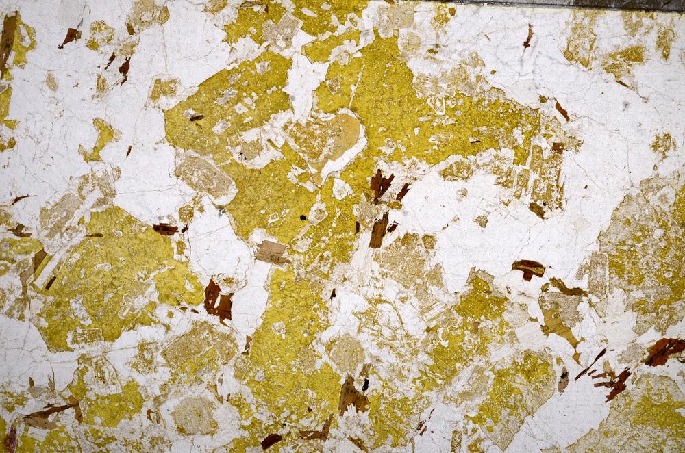 Plane Polarized, E58987/B