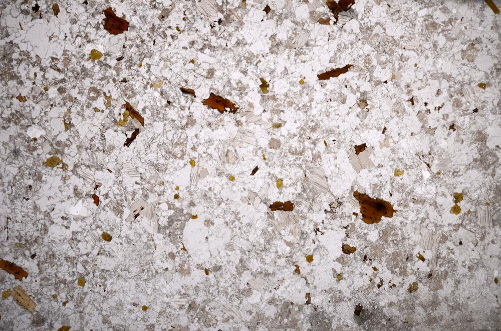 Plane Polarized, E58996/A