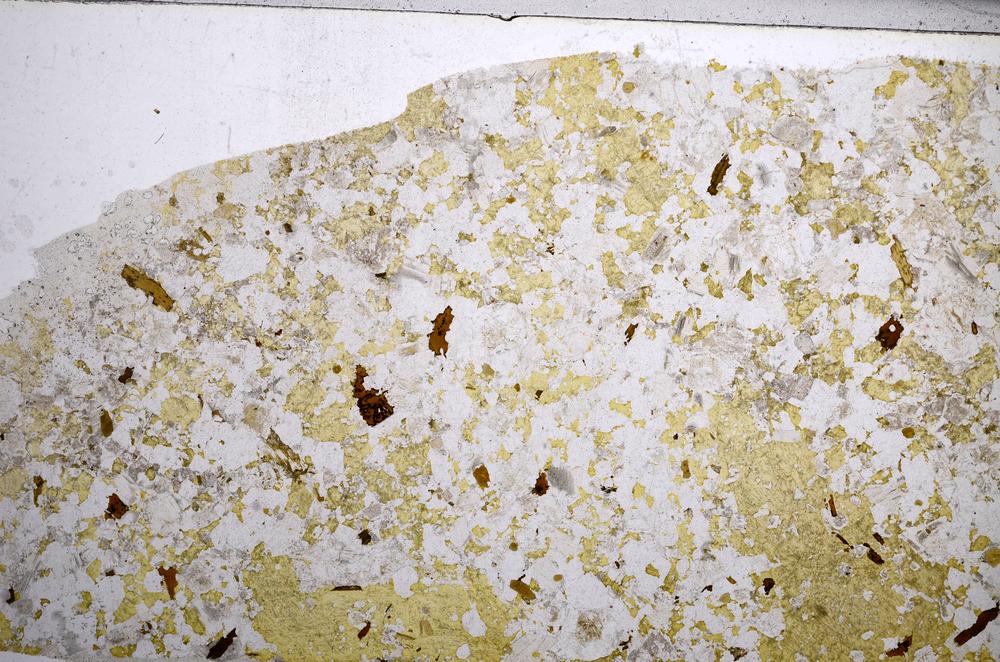 Plane Polarized, E58996/B