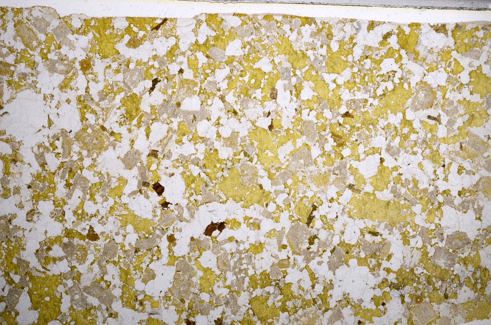 Plane Polarized, E58998