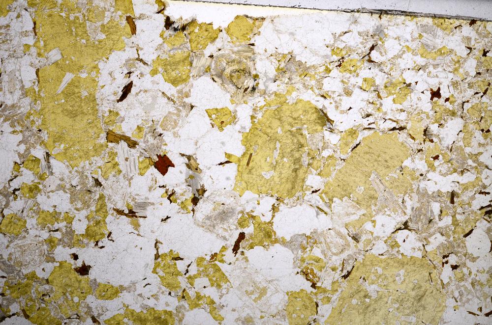 Plane Polarized, E59002