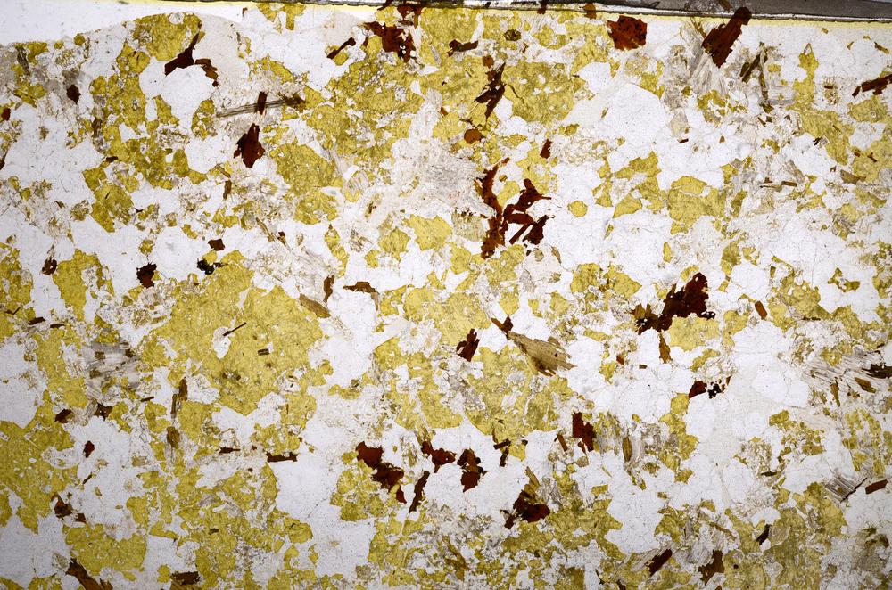 Plane Polarized, E59003