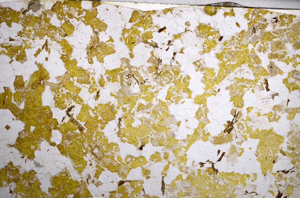 Plane Polarized, E59006