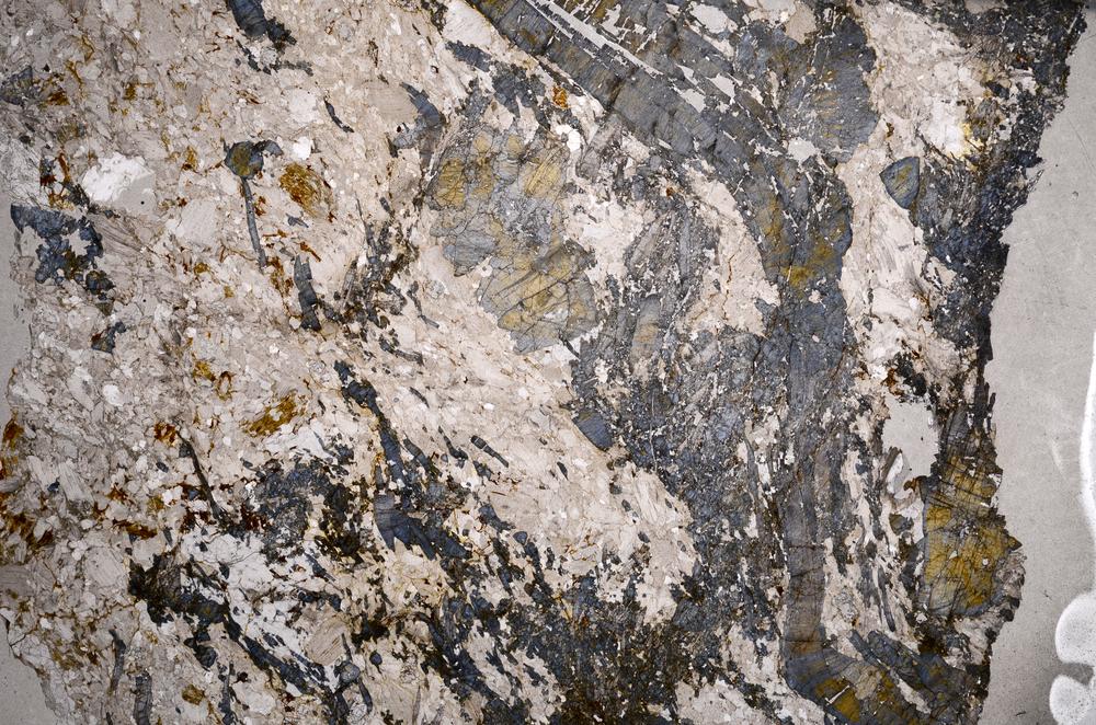 Plane Polarized, E59010/A