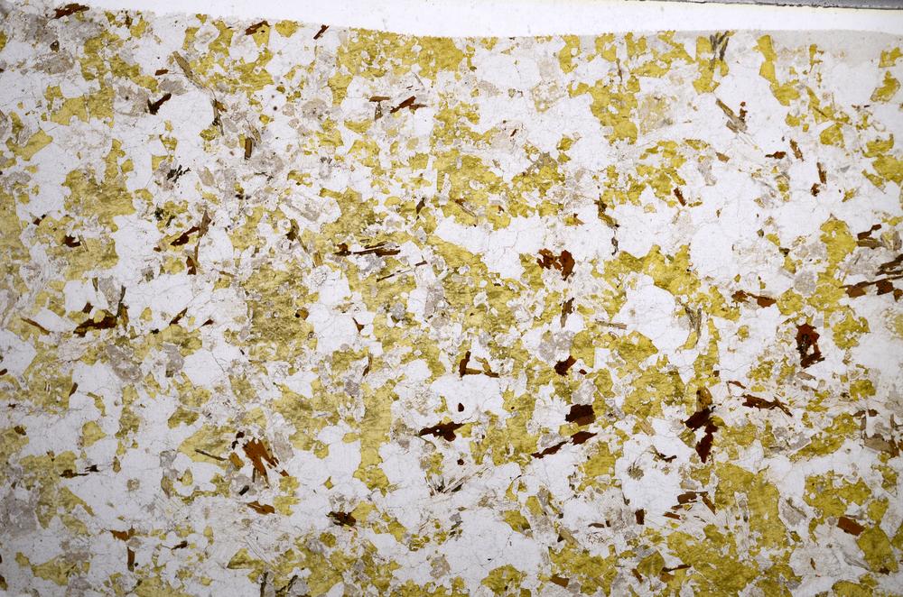 Plane Polarized, E59011