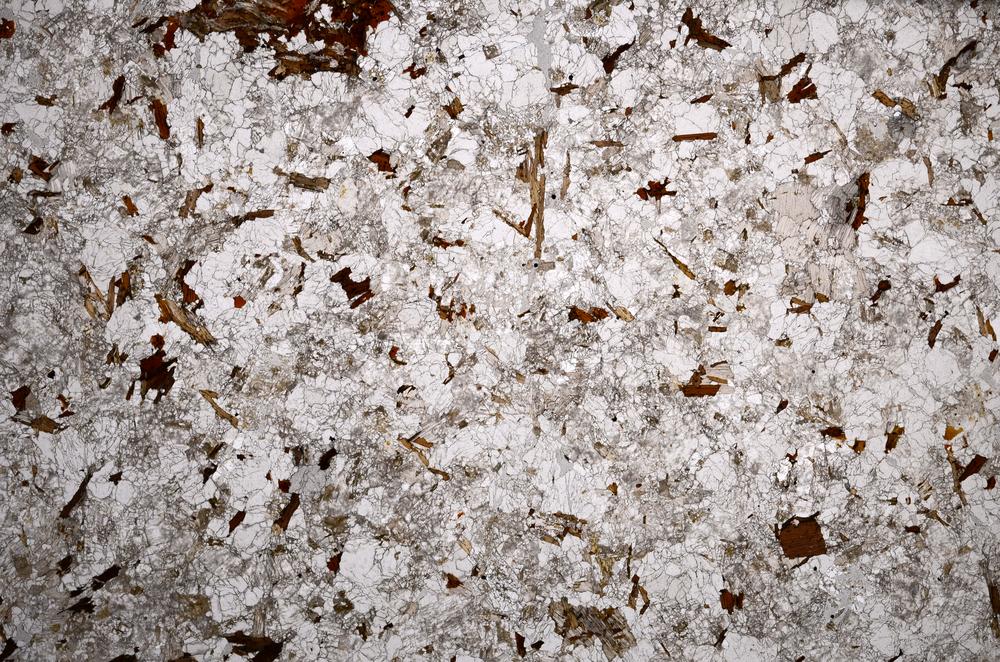 Plane Polarized, E59013/A