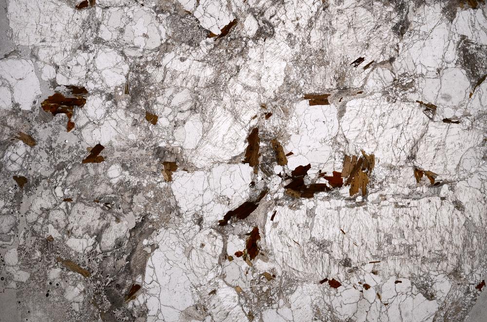 Plane Polarized, E59015/A