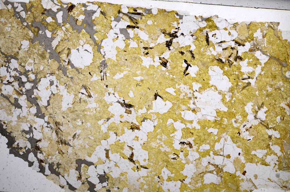 Plane Polarized, E59016