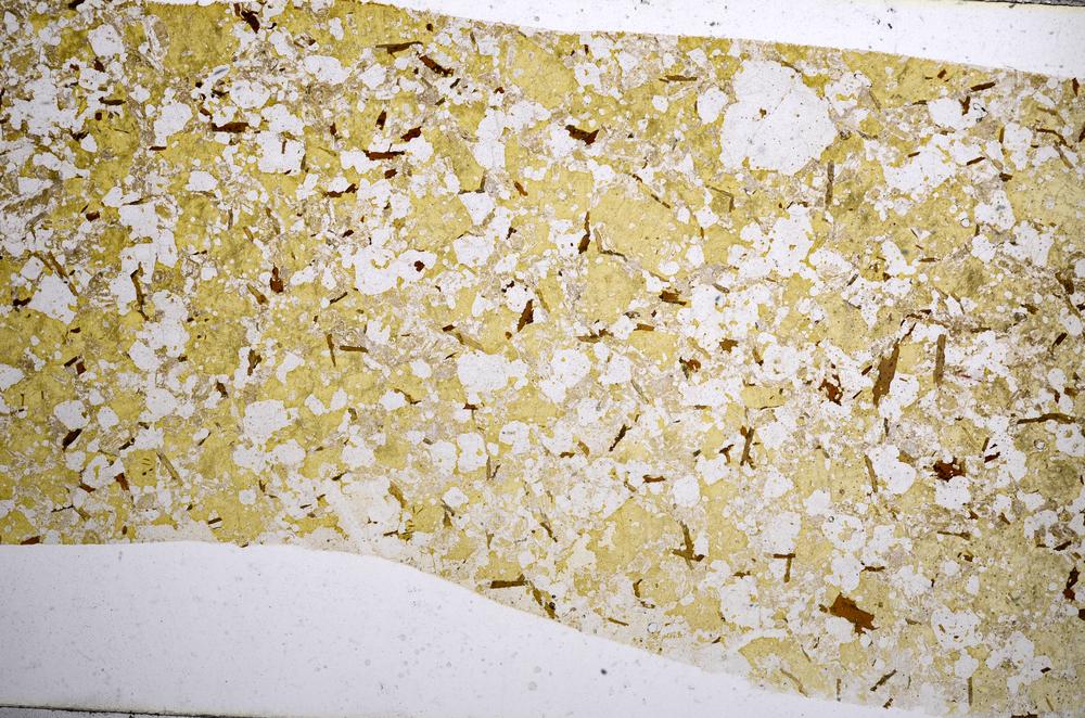 Plane Polarized, E59017