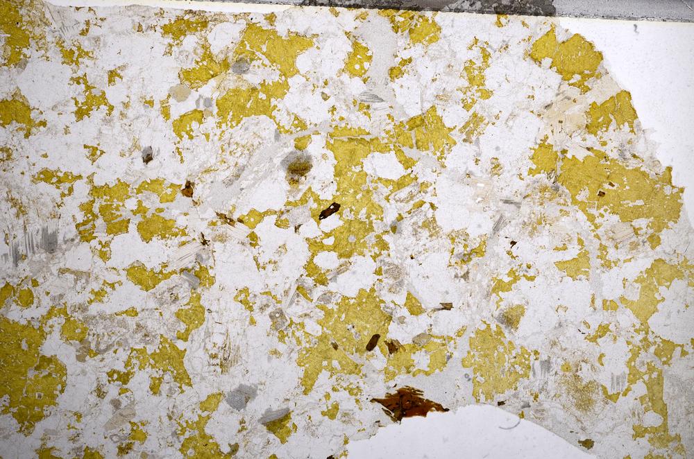 Plane Polarized, E59019