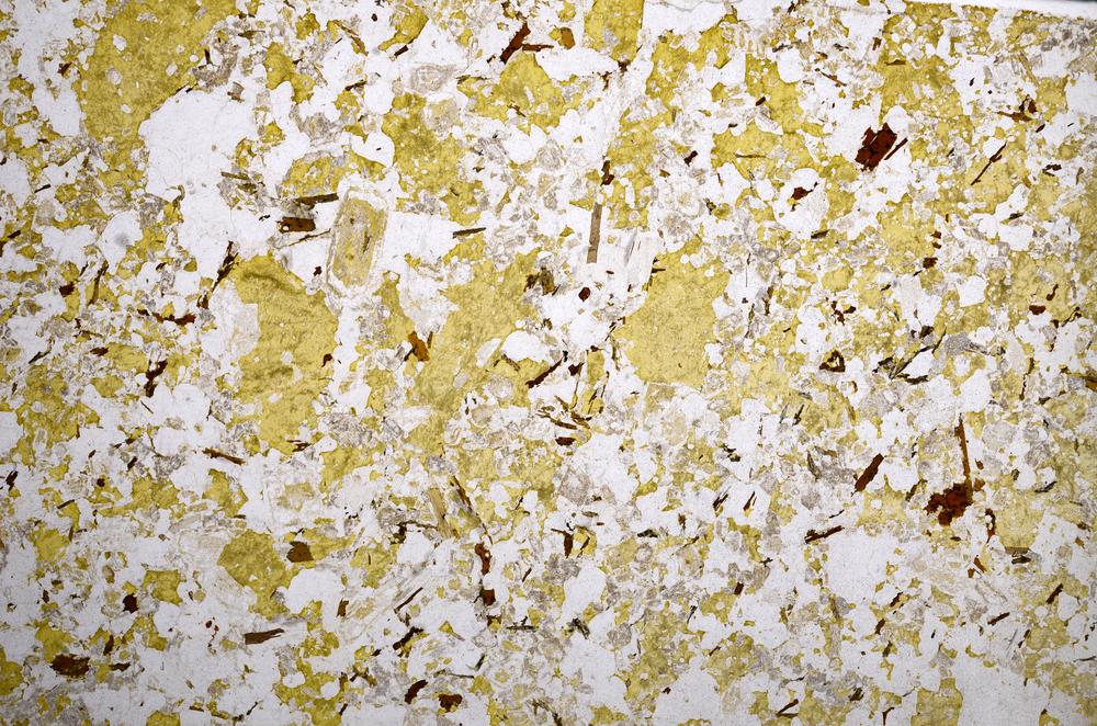 Plane Polarized, E59020/B