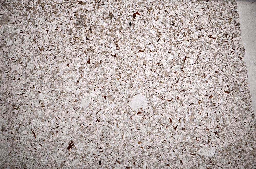 Plane Polarized, E59021/A