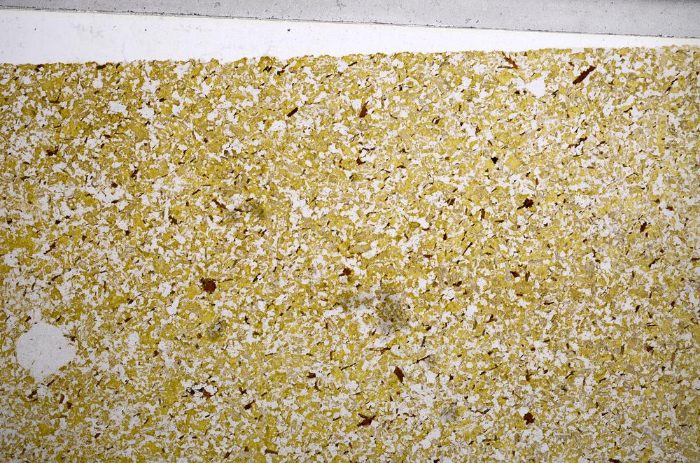 Plane Polarized, E59021/B