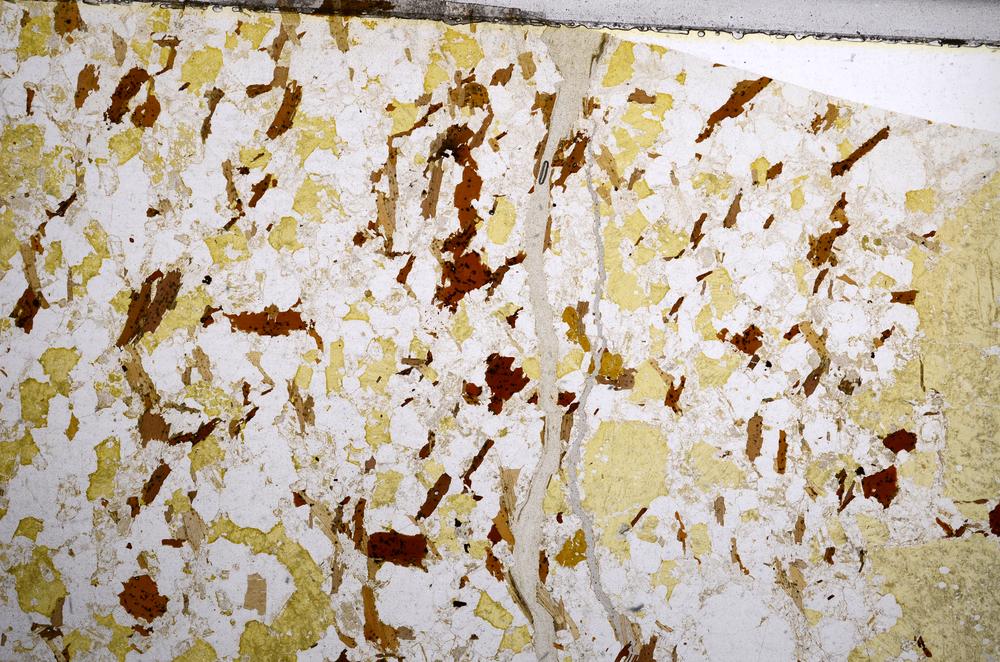 Plane Polarized, E59027