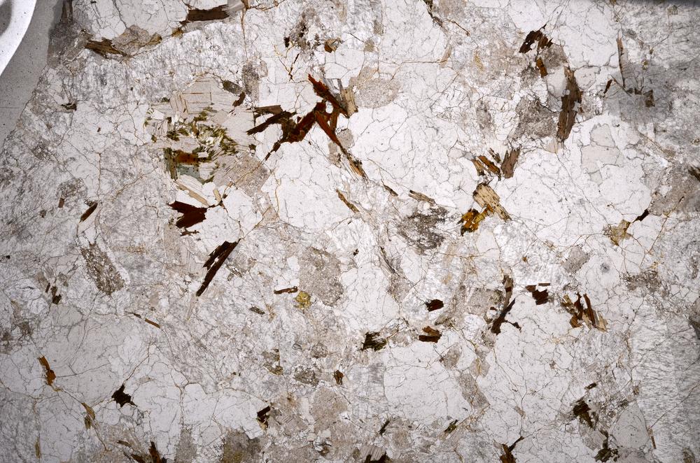 Plane Polarized, E59035/A