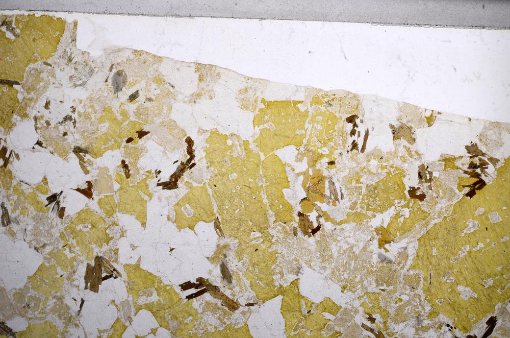 Plane Polarized, E59035/B