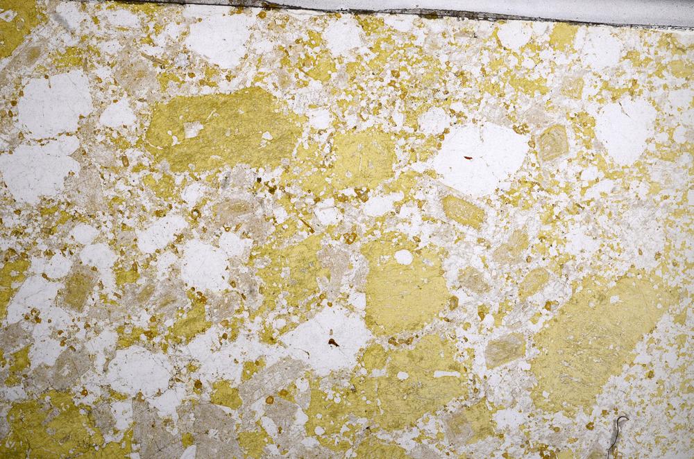 Plane Polarized, E59036/B