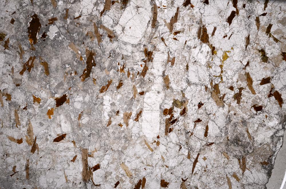 Plane Polarized, E59053/A