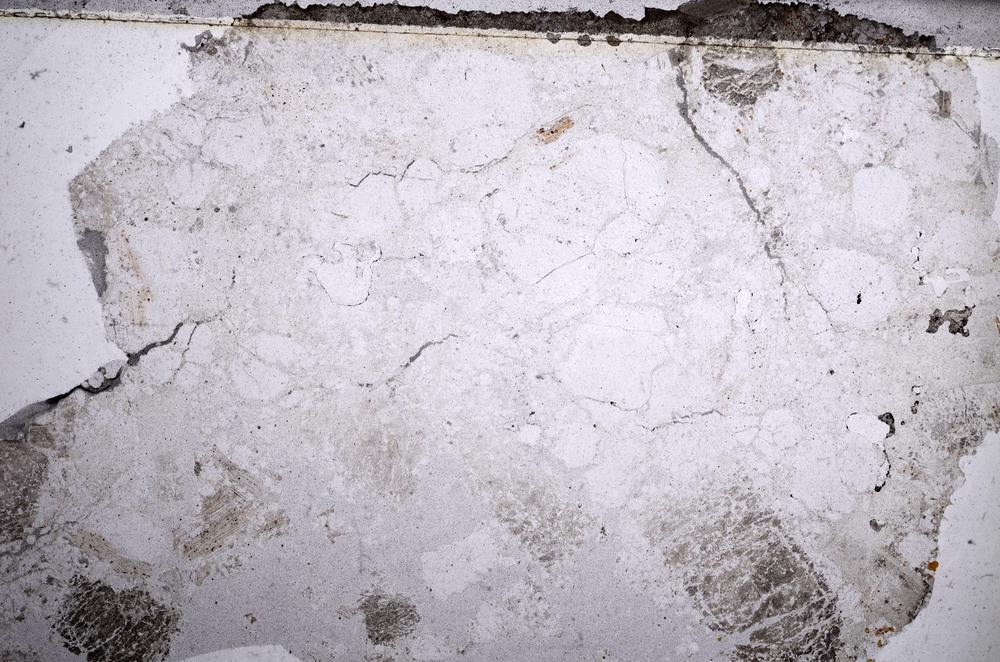 Plane Polarized, E59074